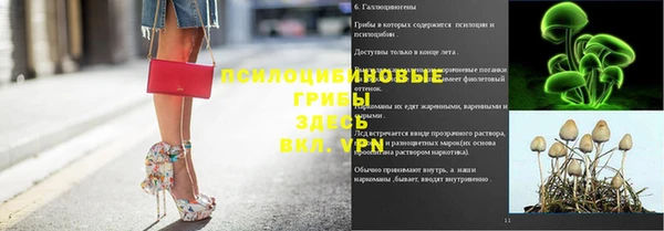 стафф Верхний Тагил